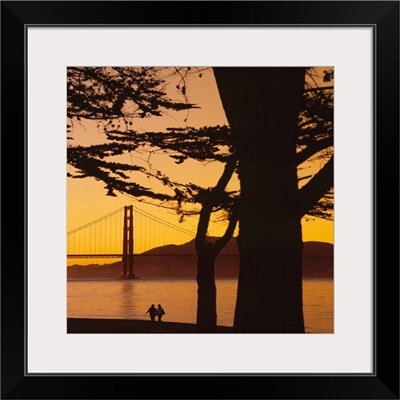Suspension bridge over water, Golden Gate Bridge, San Francisco, California