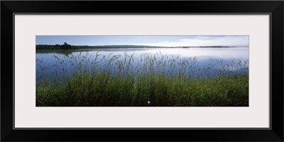 Tall grass at riverbank, Cape Breton Island, Nova Scotia, Canada