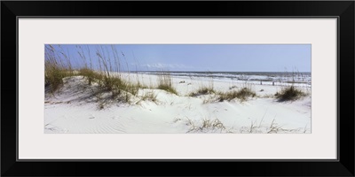 Tall grass on beach, Gulf Islands National Seashore, Pensacola, Florida