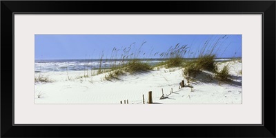 Tall grass on the beach, Gulf Islands National Seashore, Pensacola, Florida