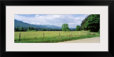 Tennessee, Great Smoky Mountains National Park, Cades Cove, Road along a grass field