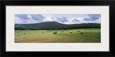 Tennessee, Warren County, Hay bales in the farmland