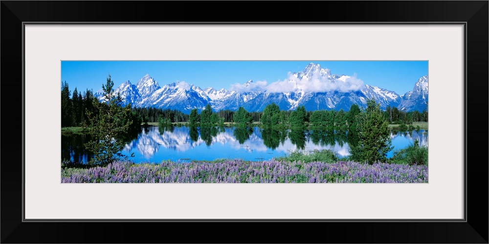 This panoramic landscape photograph shows wildflowers growing around a lake that reflects the trees and snowcapped mountai...