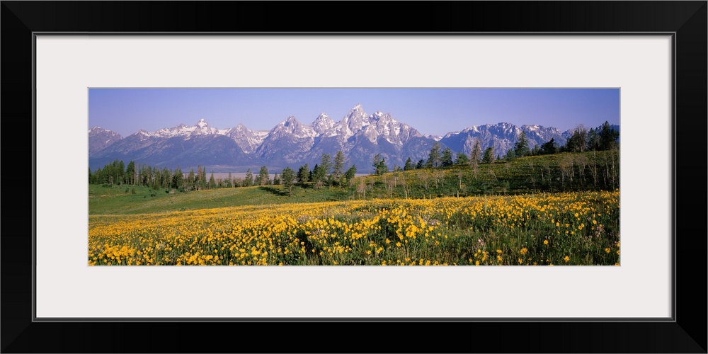 Teton Range Grand Teton National Park WY