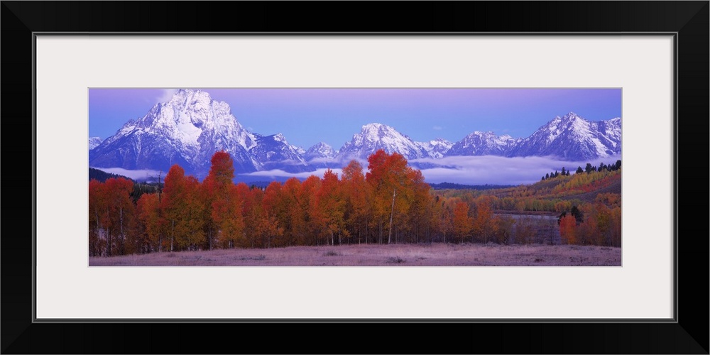 Panoramic photograph of forest covered in fall leaves with snow covered mountains in the distance.