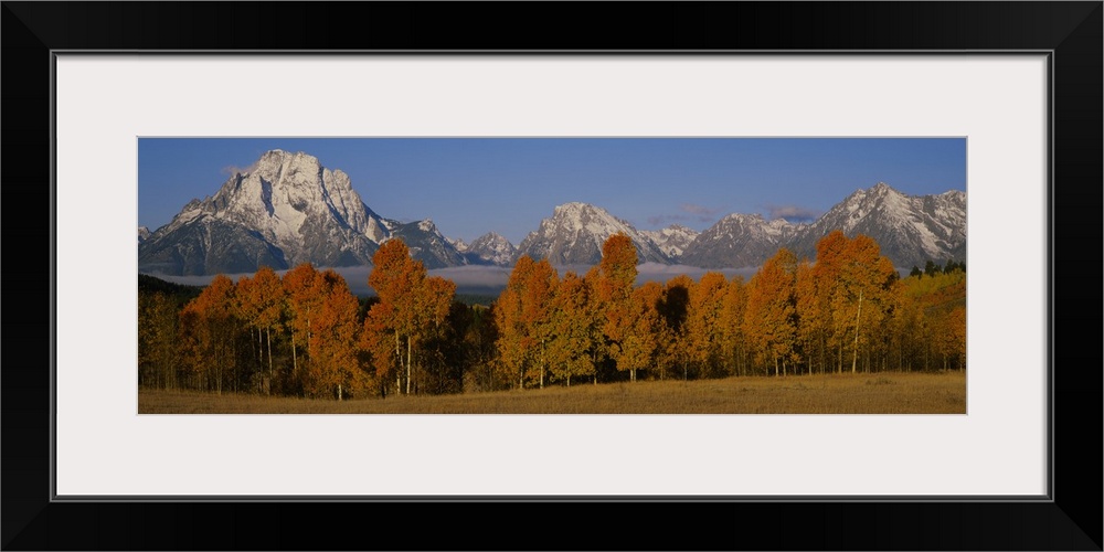 Photograph taken of immense snow capped mountains with autumn colored trees and a field shown in the foreground.