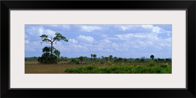 The Everglades Big Cypress National Preserve FL