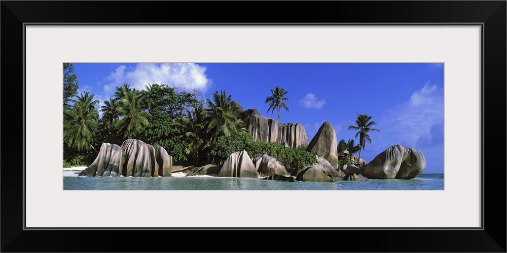 Panoramic canvas photo of big smooth rocks on an ocean shore with a forest of palm behind them.