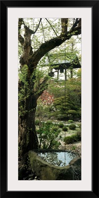 Tree in a garden, Kozan-ji, Yamagata, Japan