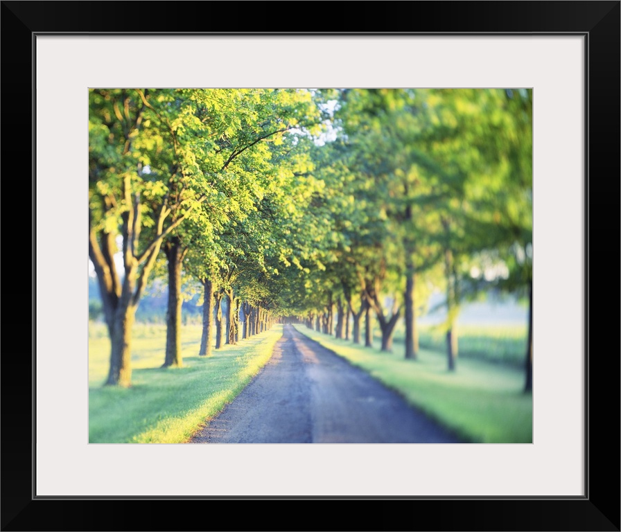 This is a landscape photograph of a gravel road through farm land with a vignette blur around the edges.