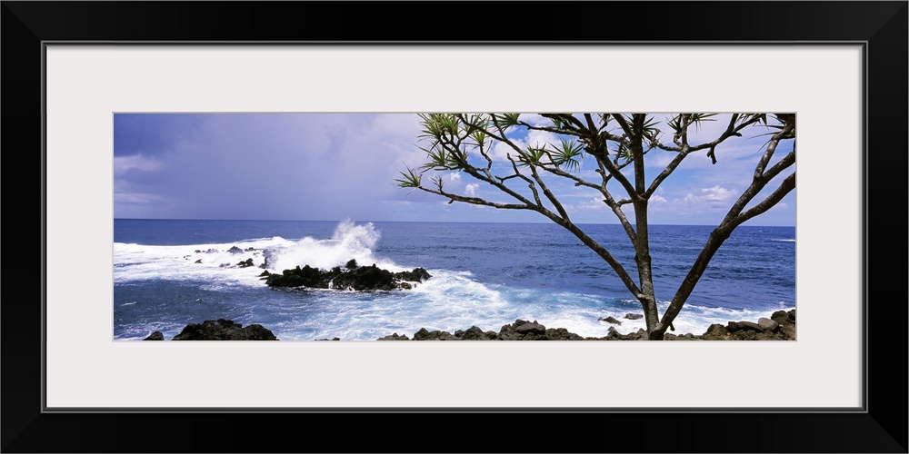 Panoramic photograph of rocky shoreline with breaking waves and one tall tree under a cloudy sky.