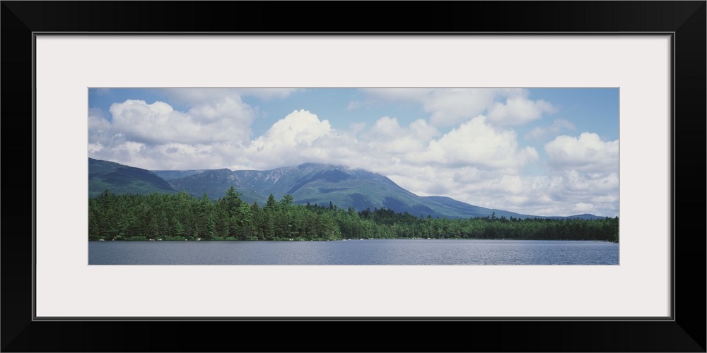 Trees along a pond, Daicy Pond, Baxter State Park, Maine