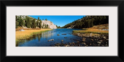 Trees along a river, Little Lakes Valley, Eastern Sierra, California