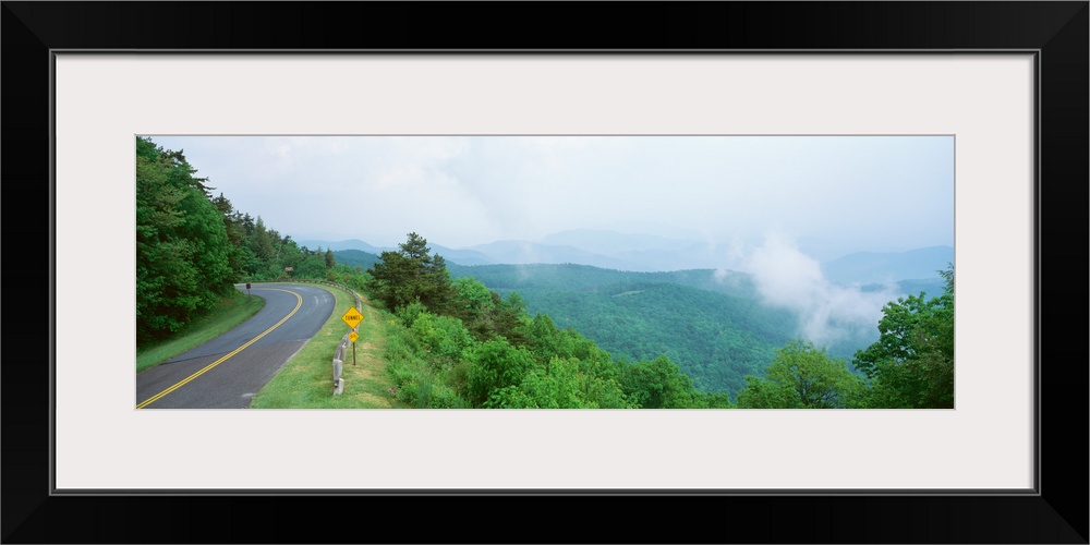 Trees along a road, Blue Ridge Parkway, North Carolina