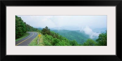 Trees along a road, Blue Ridge Parkway, North Carolina