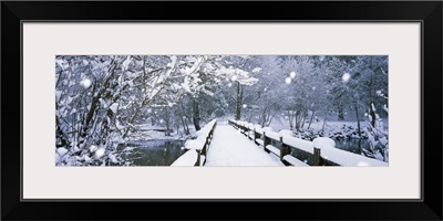 Trees along a snow covered footbridge, Yosemite National Park, California