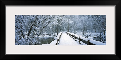 Trees along a snow covered footbridge, Yosemite National Park, California