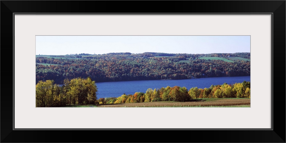 Trees at the lakeside, Owasco Lake, Finger Lakes, New York State