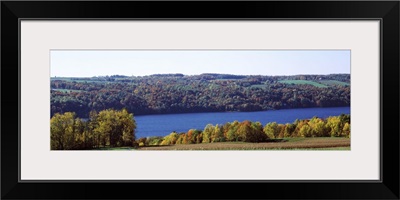 Trees at the lakeside, Owasco Lake, Finger Lakes, New York State