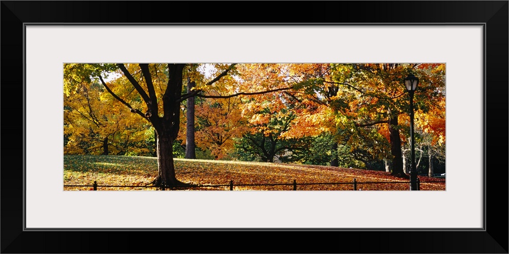 Panoramic photo on canvas of fall foliage covered trees in Central Park.