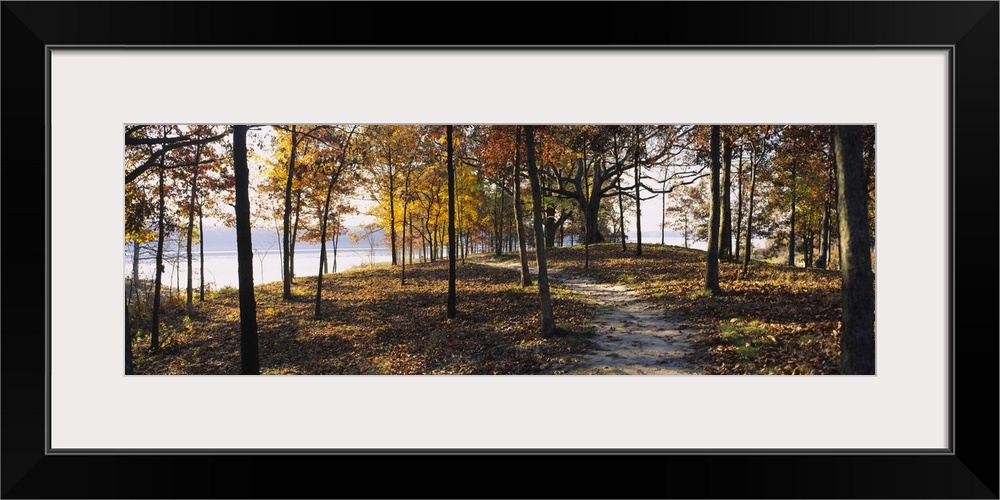 Panoramic photograph of dirt trail winding through an autumn forest with river in the distance.