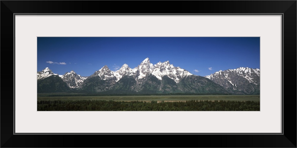 Trees in a forest with mountains in the background, Teton Point Turnout, Teton Range, Grand Teton National Park, Wyoming