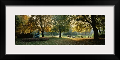 Trees in a formal garden, Le Jardin du Luxembourg, Paris, France