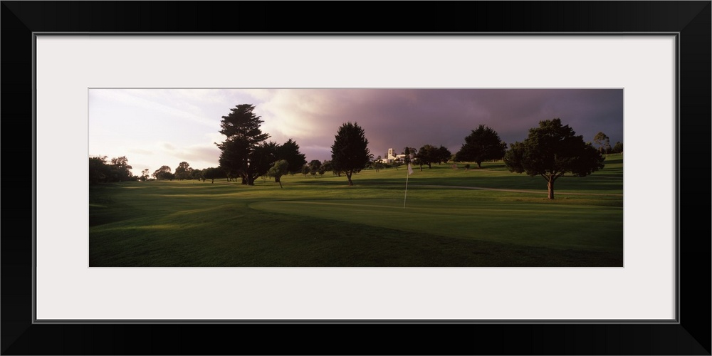 Trees in a golf course Montecito Country Club Santa Barbara California