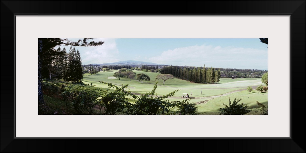 Trees in a golf course, Ritz-Carlton, Kapalua, Maui, Maui County, Hawaii