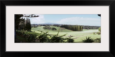 Trees in a golf course, Ritz-Carlton, Kapalua, Maui, Maui County, Hawaii