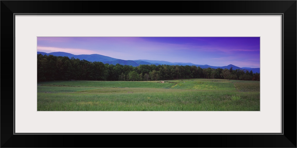 Trees in a valley, Rockbridge County, Shenandoah Valley, Virginia