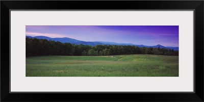 Trees in a valley, Rockbridge County, Shenandoah Valley, Virginia