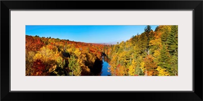 Trees in autumn at Dead River, Marquette County, Upper Peninsula, Michigan