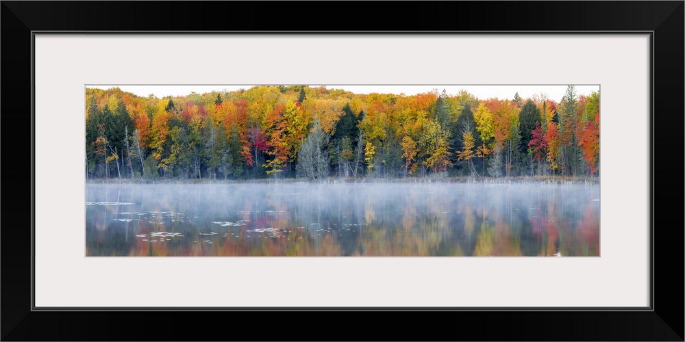 Trees in autumn at Lake Hiawatha, Alger County, Upper Peninsula, Michigan