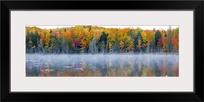 Trees in autumn at Lake Hiawatha, Alger County, Upper Peninsula, Michigan