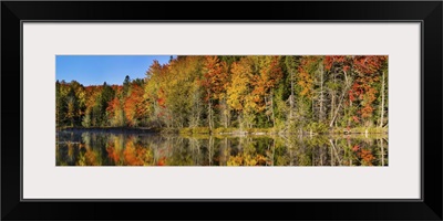 Trees in autumn at Lake Hiawatha, Alger County, Upper Peninsula, Michigan