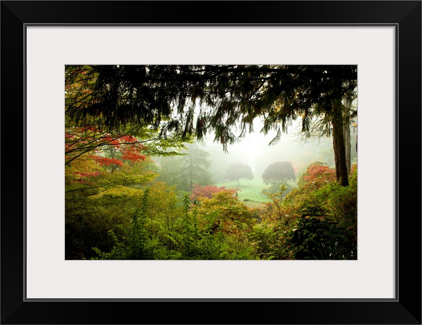 Trees in Butchart Gardens, Victoria, Vancouver Island, British Columbia, Canada