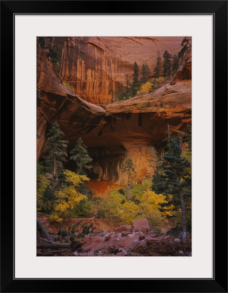 Photograph of cave entrance surrounded by trees and bushes in front of and above it.