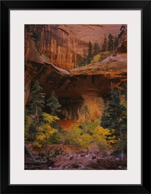 Trees in front of a cave, Zion National Park, Utah