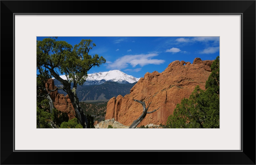 Landscape wall art of trees growing among rocks in wilderness with snowcapped peaks in the background.