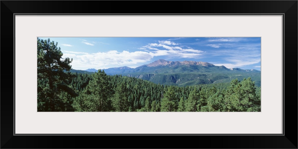 Panoramic photograph of forest tree tops with mountains in the distance under a cloudy sky.