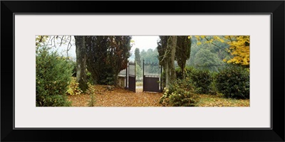 Trees near a gate, La Poderina, Tuscany, Italy