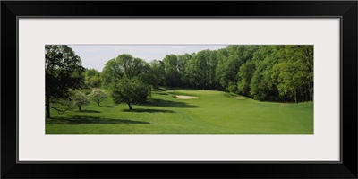 Trees on a golf course, Baltimore Country Club, Baltimore, Maryland