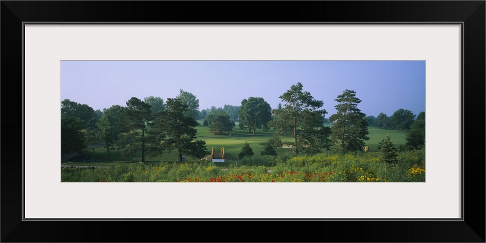 Trees on a golf course, Des Moines Golf And Country Club, Des Moines, Iowa