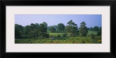 Trees on a golf course, Des Moines Golf And Country Club, Des Moines, Iowa