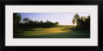 Trees on a golf course, Sand Barrens Golf Club, Swainton, New Jersey