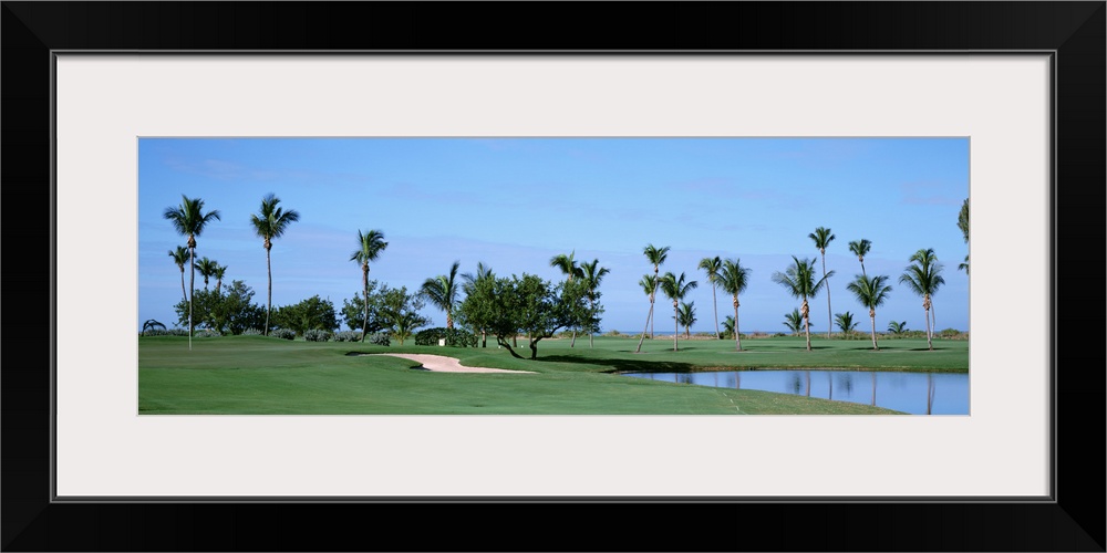 Trees on a golf course, South Seas Plantation, Captiva Island, Florida