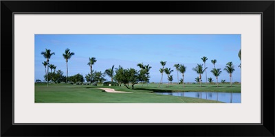 Trees on a golf course, South Seas Plantation, Captiva Island, Florida