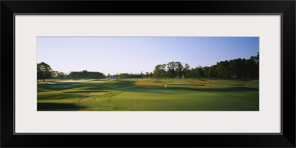 Trees on a golf course, The Carolina Club, Outer Banks, North Carolina