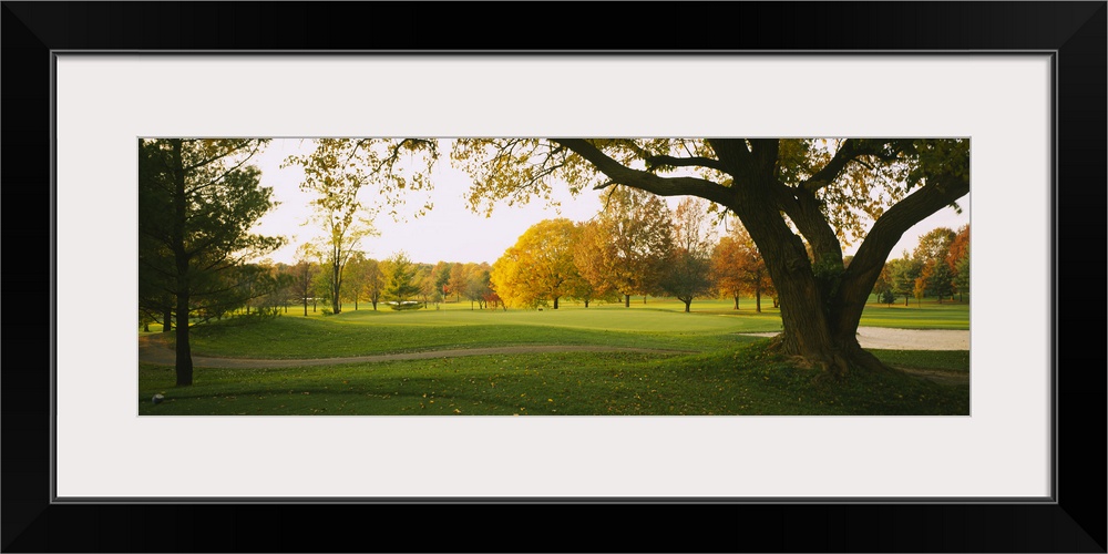 Trees on a golf course, Westwood Country Club, Vienna, Virginia